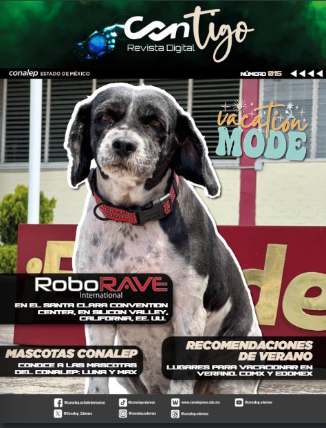 015 REVISTA CONTIGO VERANO 2025